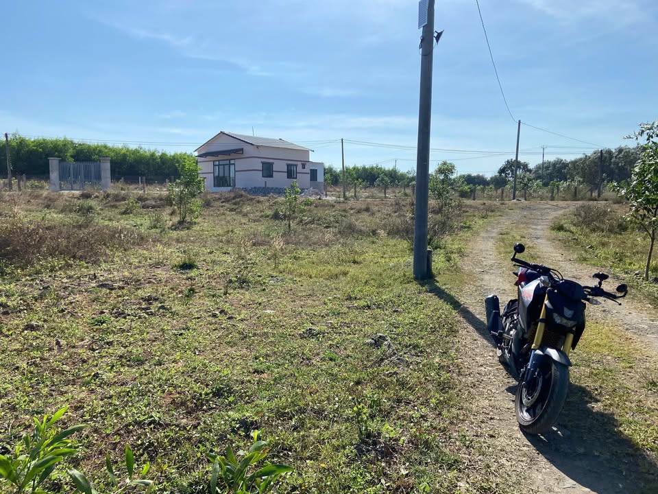 Đất nền 1000m² tại xã Bưng Riềng, huyện Xuyên Mộc - Giá 1.8 tỷ, thương lượng ngay!