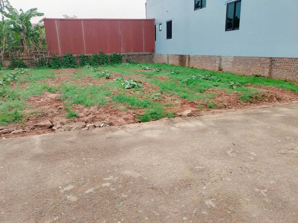 Đất thổ cư Liên Nghĩa, Văn Giang 79m² giá 3 tỷ - Đường ô tô tránh nhau!