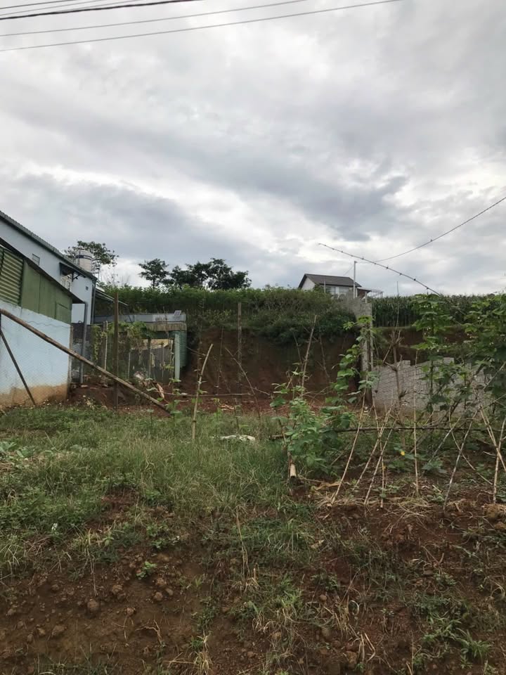 Nhà mặt tiền Phó Đức Chính, Bảo Lộc 130m² giá 1.29 tỷ - Chính chủ bán gấp!