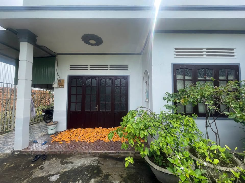 Nhà mặt tiền hẻm 994 Trần Phú, Lộc Châu, 788m² giá 3.9 tỷ - Đầu tư sinh lời tuyệt vời!