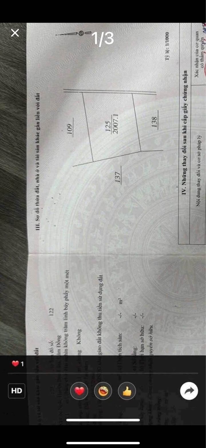 Đất nền Bảo Lộc 8000m² giá 1.13 tỷ - Đầu tư sinh lời ngay!