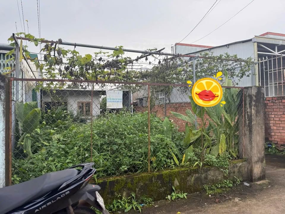 Đất nền Bảo Lộc 294m² giá 2.9 tỷ - Sổ đỏ chính chủ, giao dịch nhanh!