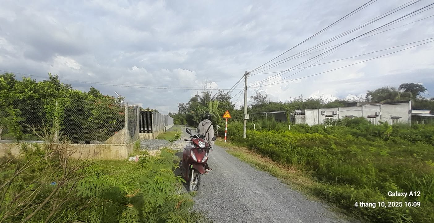 Đất nền Hiệp Thạnh Gò Dầu 1037m² giá 52.275 tỷ - Đầu tư sinh lời ngay!