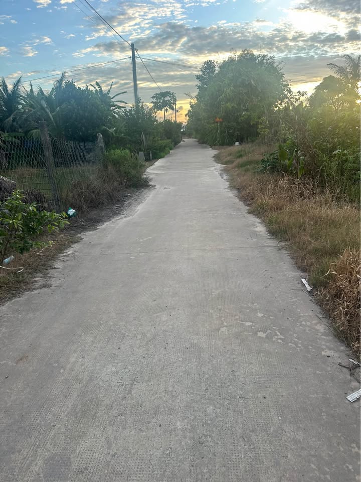 Đất thổ cư 550m² tại Hòa Tây, Đức Huệ - Giá ưu đãi chỉ 990 triệu!