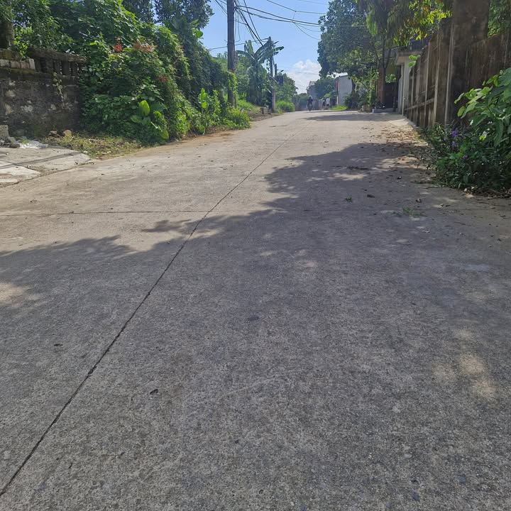 Đất nền Yên Thắng, Tam Điệp 138m² chỉ 1.2 tỷ - Đầu tư sinh lời ngay!