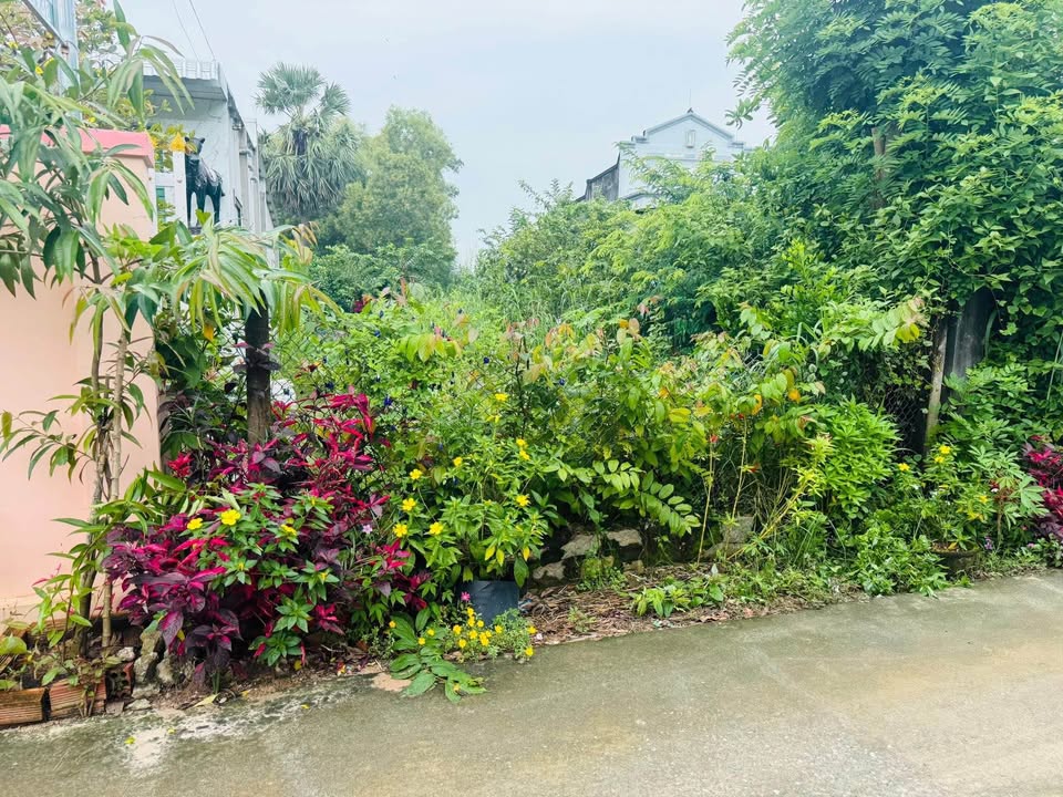 Đất nền 200m² đường số 20, Tam An, Long Điền giá chỉ 1,1 tỷ - Thương lượng nhẹ!