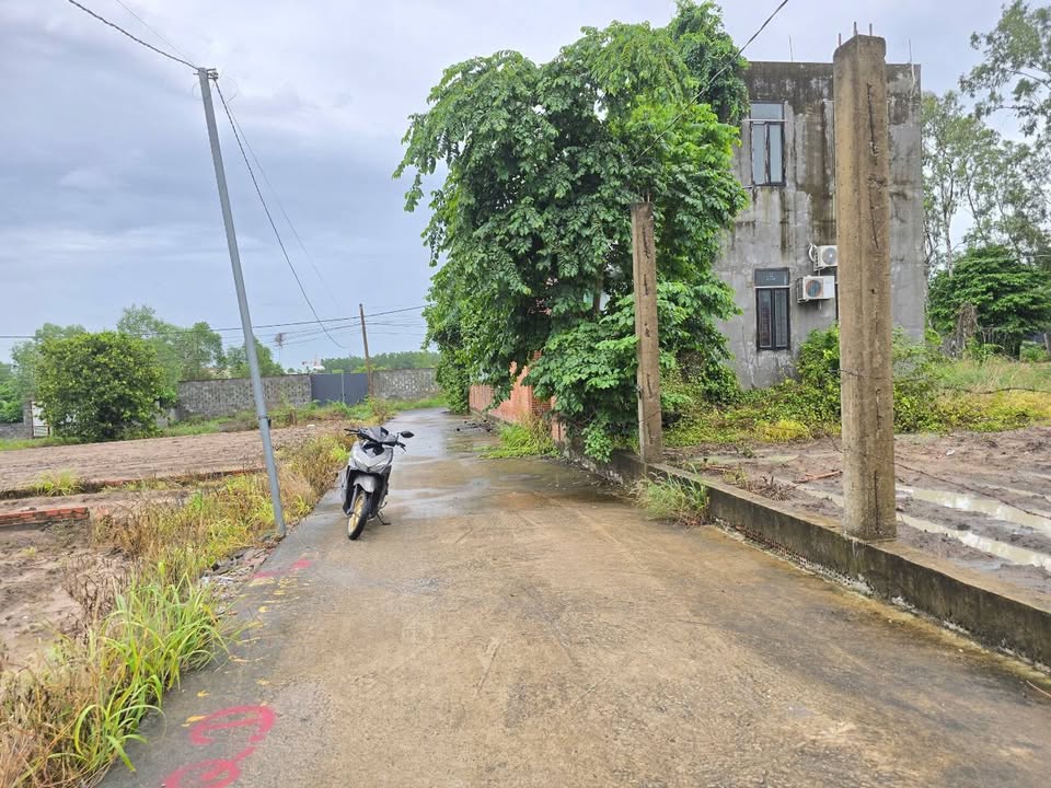 Đất dịch vụ 1,7 sào mặt tiền đường bê tông Phú Mỹ - Giá chỉ 4,2 tỷ!