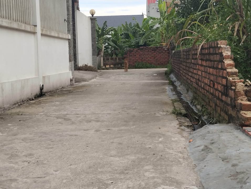 Đất thổ cư Hiền Ninh, Sóc Sơn 64.5m² giá thỏa thuận - Đường nhựa kinh doanh sầm uất!