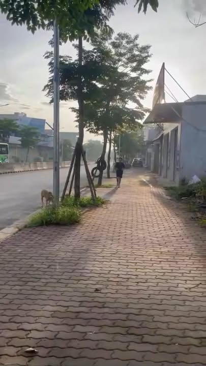 Đất nền Phúc Tiến, Bình Yên 165m² giá 13.53 tỷ - Đường đôi 4 làn xe tiện lợi!