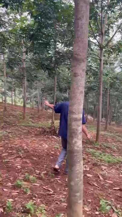 Đất nông nghiệp Phú Nghĩa Bù Gia Mập 4.8ha giá 4.86 tỷ - Cơ hội đầu tư lý tưởng!