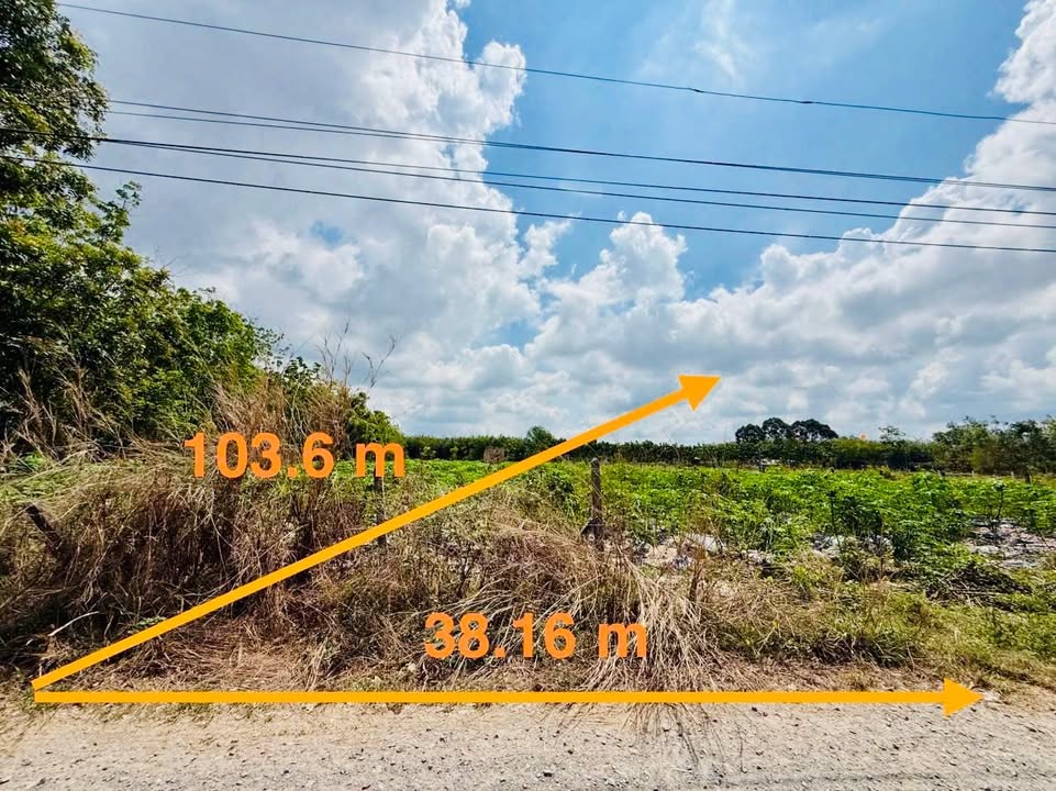 Đất thổ cư 4224m² xã Thạnh Đức, Gò Dầu - Giá 4.039 tỷ, pháp lý rõ ràng!