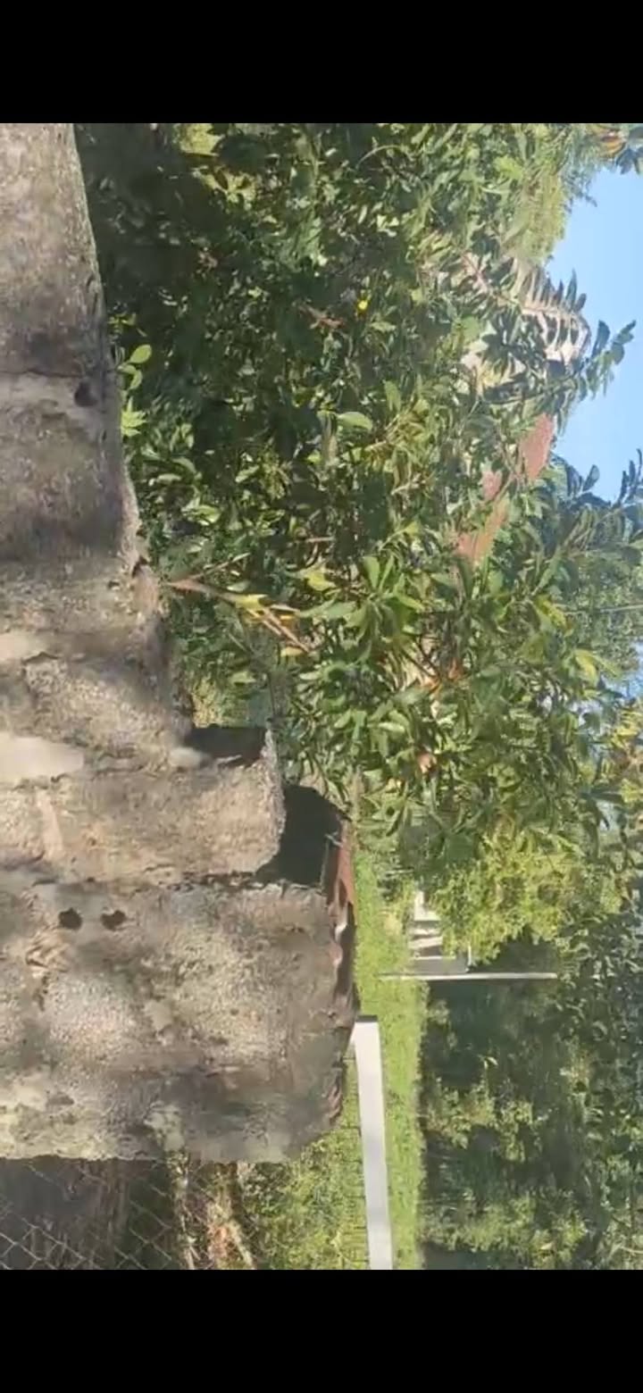 Đất nền Tây Hoa Lư 1200m² giá thỏa thuận - Tiềm năng homestay nghỉ dưỡng!