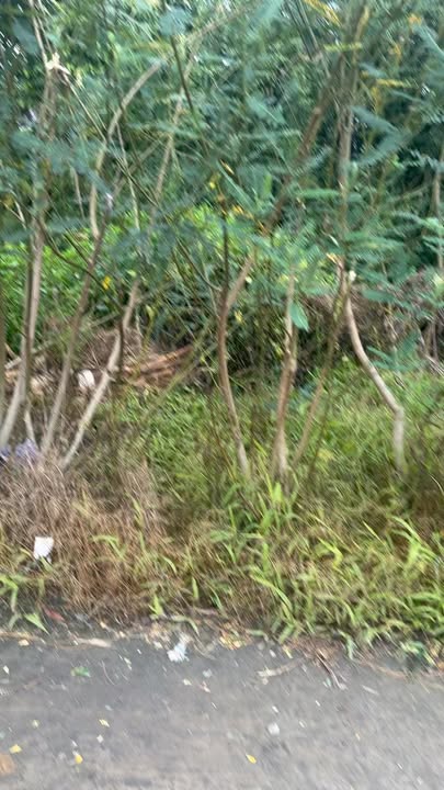 Đất nền 150m² tại xã Tân Phú, Cai Lậy - Chỉ 500 triệu, sổ đỏ chính chủ!