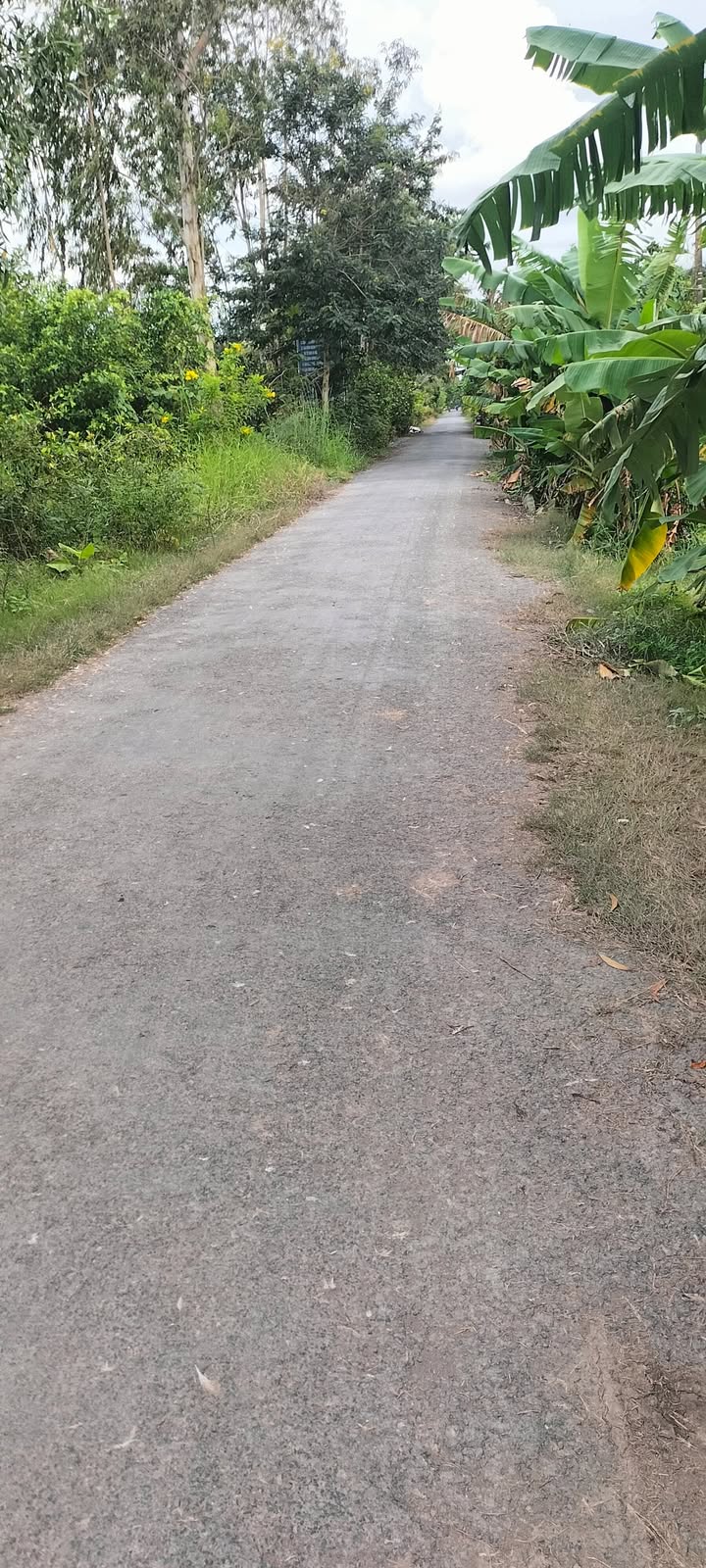 Đất nông nghiệp 52,000m² tại Mỹ Đông - Đường nhựa, giá chỉ 9.36 tỷ VND!