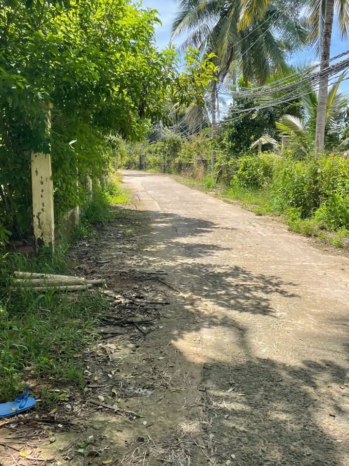 Đất nền 688m² tại ấp Xóm Mới, xã Bãi Thơm giá 4.2 tỷ - Cơ hội đầu tư tuyệt vời!