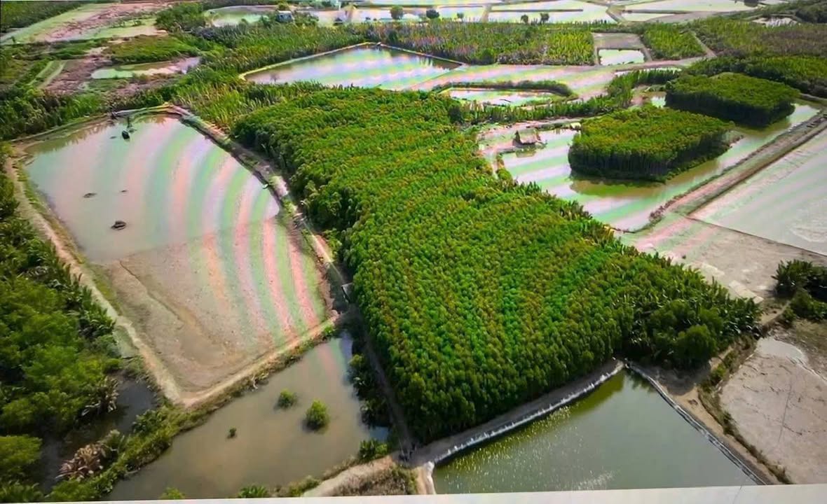 Đất An Thới Đông, Cần Giờ 14.269m² giá 32.818 tỷ - Sổ hồng riêng chính chủ!