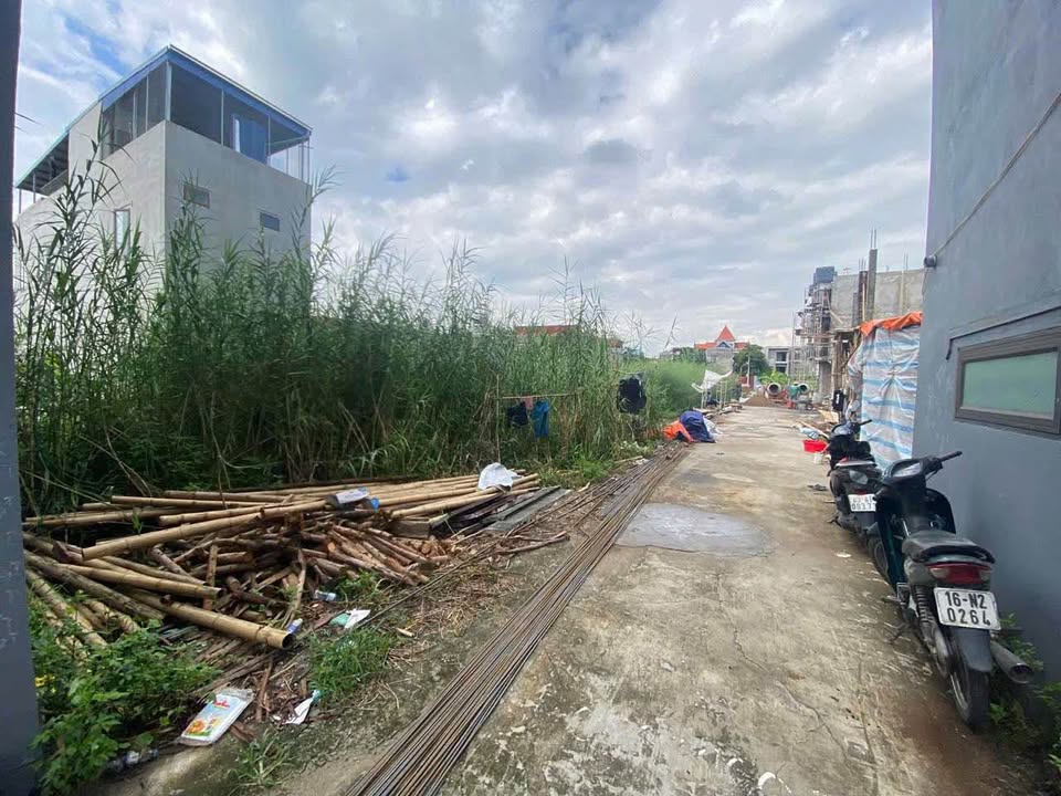 Đất nền Nam Sơn, An Dương 61m² giá chỉ 1.1 tỷ - Cơ hội đầu tư hấp dẫn!