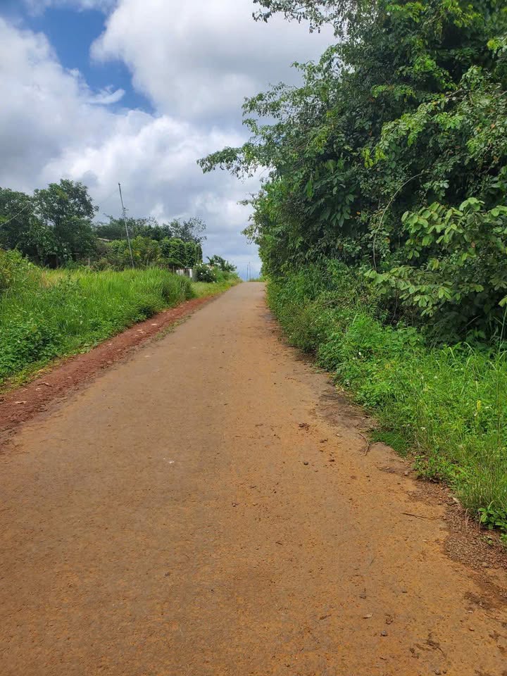 Đất nền 360m² thôn Quảng Thành, Đạo Nghĩa - Giá chỉ 420 triệu, sổ đỏ chính chủ!