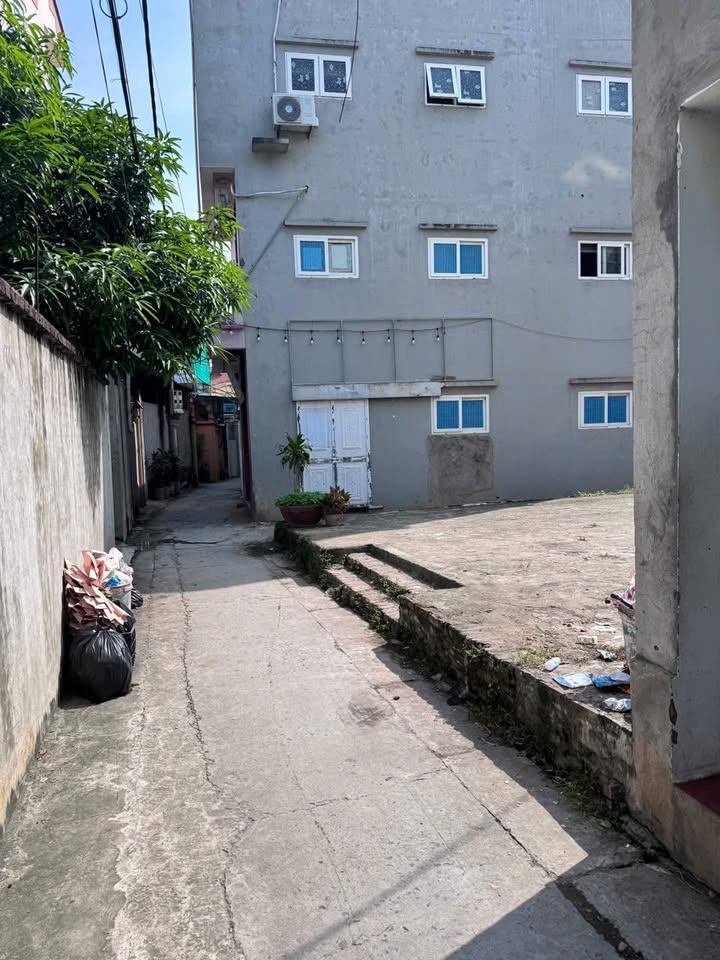 Đất nền Thúy Hội, Tân Hội 50m² giá 4 tỷ - Dòng tiền ổn định từ cho thuê!