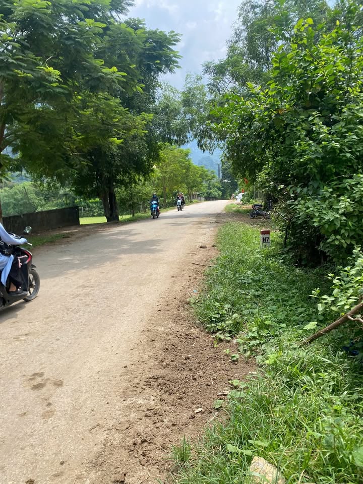 Đất thổ cư 304m² tại Sào Báy, Kim Bôi - Gần Serena Resort chỉ 1.2 tỷ!