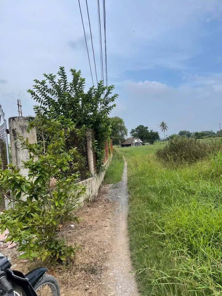 Đất Mặt Tiền 1364m² Phú Đông, Tiền Giang giá 270 triệu - Cơ hội đầu tư hấp dẫn!