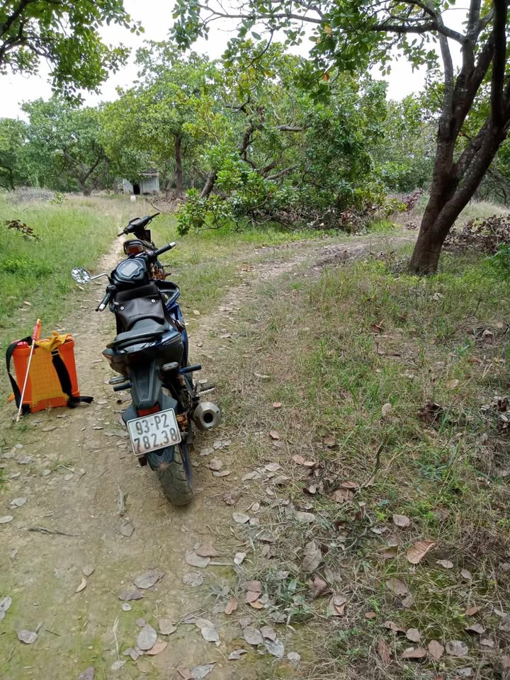 Đất 6,8ha tại xã Phú Riềng, Bình Phước giá 7.5 tỷ - Cơ hội đầu tư tuyệt vời!