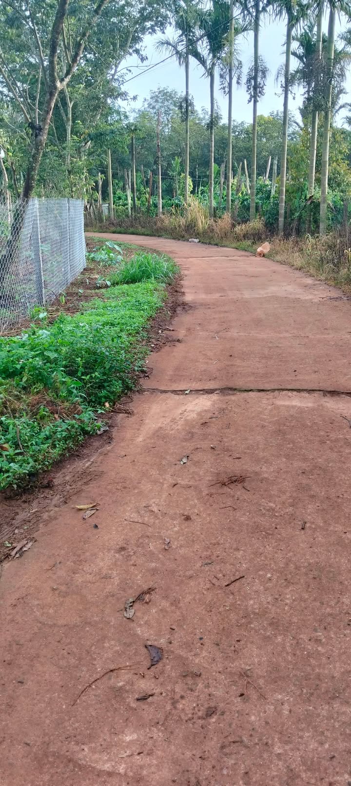 Đất nền 8000m² tại thôn 4, xã Nâm N'Jang - Giá 1.25 tỷ, sổ đỏ chính chủ!