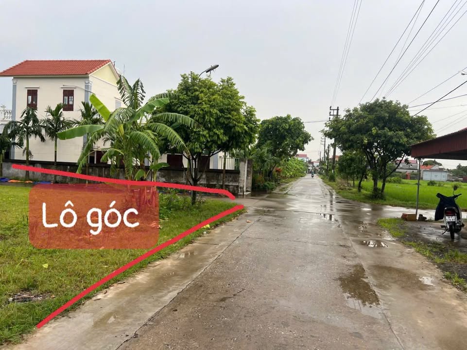 Đất nền lô góc Xuân Phong, Xuân Trường 104m² - Cơ hội đầu tư tuyệt vời!