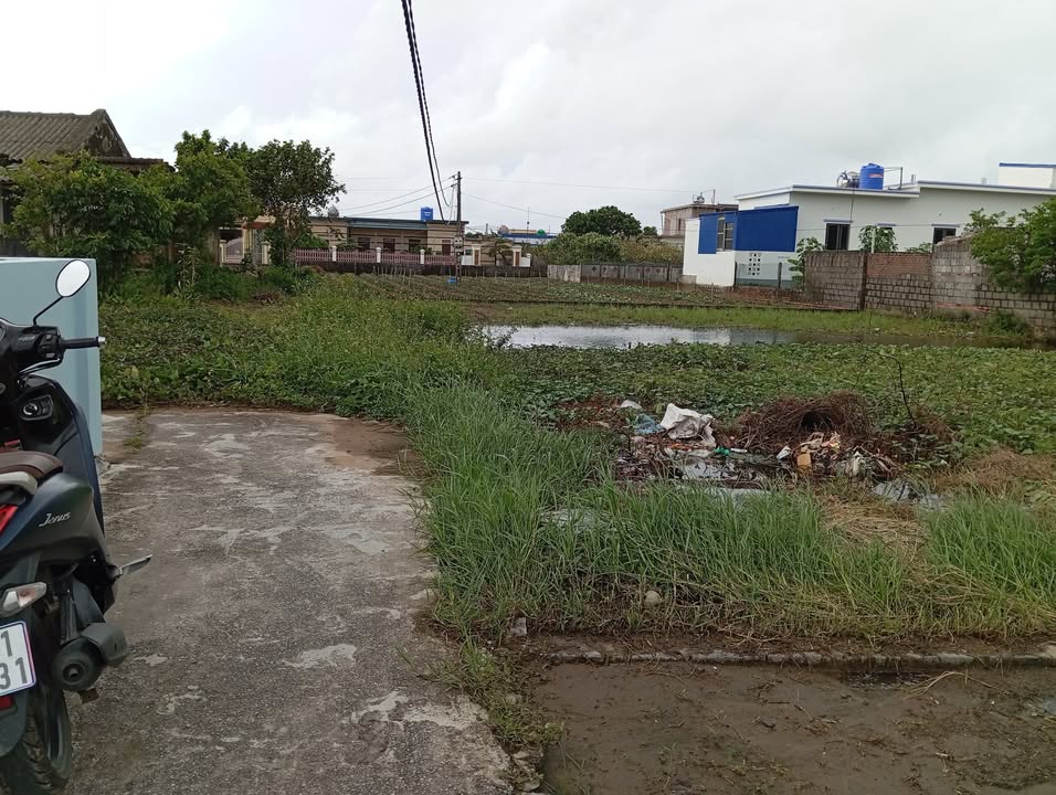 Đất nền Giao Phong Giao Thủy 1465m² giá 6.15 tỷ - Cơ hội đầu tư hấp dẫn!