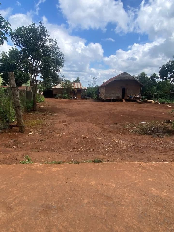 Đất nền 660m² tại xã Cư Né - Giá 920 triệu - Tiện ích gần trường học!