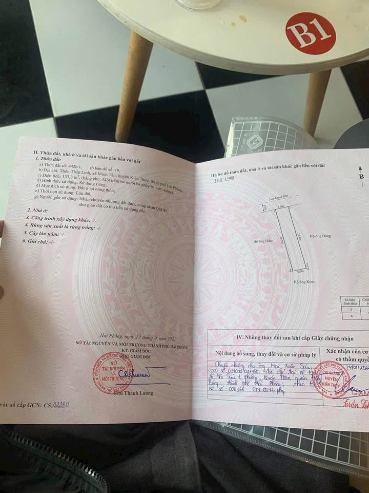 Đất nền 133,3m² tại Minh Tân, Kiến Thụy - Giá chỉ 2,46 tỷ - Đầu tư sinh lời cao!