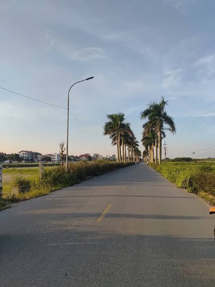 Đất nền phường Song Liễu, Thuận Thành, Bắc Ninh 80m² giá 4 tỷ - Cơ hội đầu tư hiếm có!