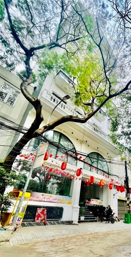 FrontHouse Đống Đa 133m² giá 40 tỷ - Đẳng cấp khác biệt ngay trung tâm!