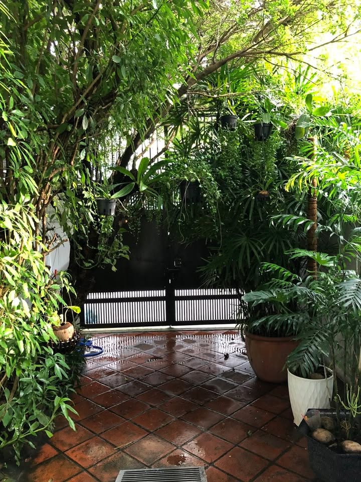 Cho thuê Villa Mini 100m² Hoàng Hoa Thám, Bình Thạnh - Sân vườn xanh mát, yên tĩnh