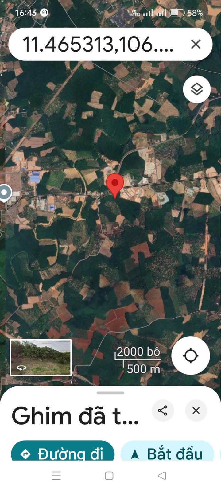 Đất nền 2,2ha tại Tân Lợi, Đồng Phú giá 13,5 tỷ - Đầu tư sinh lời ngay!