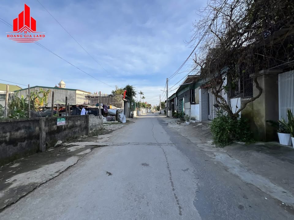 Đất mặt đường Xuân Liễu, xã Nghi Kim, 110,9m² giá 2,12 tỷ - Đầu tư sinh lời ngay!