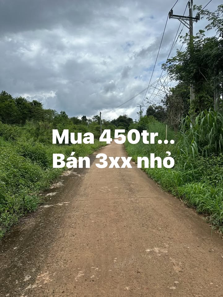 Đất nền Đức Liễu Bù Đăng 2250m² giá thỏa thuận - Cơ hội đầu tư hấp dẫn!