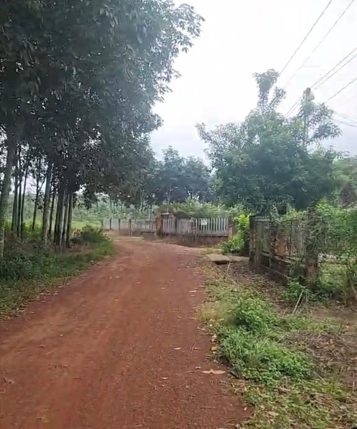 Đất nền An Bình, Phú Giáo 3000m² giá 2.5 tỷ - Mặt tiền rộng, cơ hội đầu tư tốt!