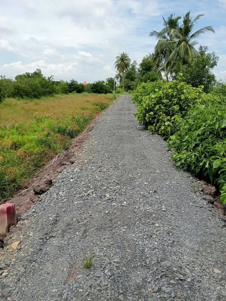 Đất vườn Ấp 3, Thạnh Hòa, Bến Lức 2000m² giá 530 triệu - Cơ hội đầu tư hiếm có!