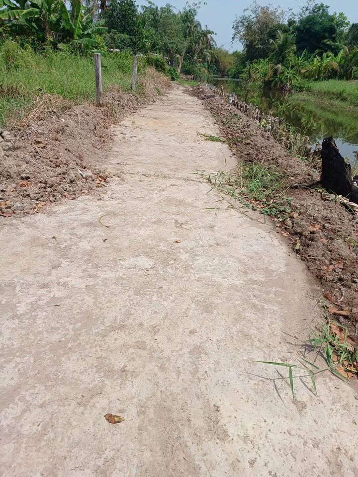 Đất thổ cư An Vĩnh Ngãi, Tân An 261m² giá 400 triệu - Đường ô tô tới đất!