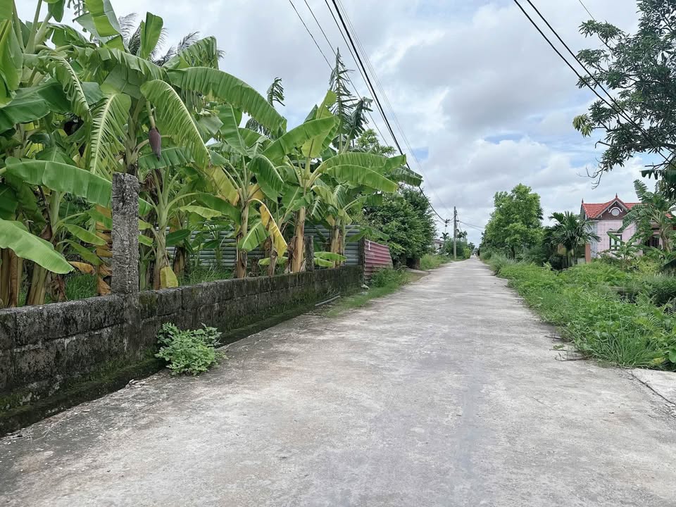 Đất nền Tân Phong, Kiến Thụy 344m² giá chỉ vài triệu/m² - Chính chủ bán gấp!