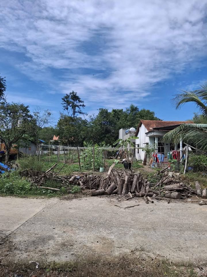 Đất Tân Hiệp 540m² giá 2.8 tỷ - Chính chủ bán nhanh!