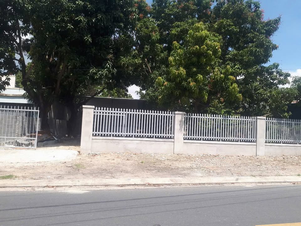 Đất cho thuê tại Cam Lâm 800m² - Phù hợp kinh doanh ngay!