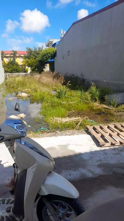 Đất nền Hải Thịnh 201m² giá thỏa thuận - Tiềm năng đầu tư cao!