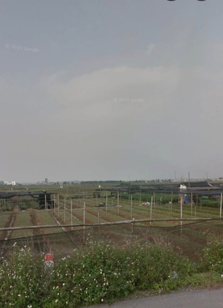 Đất ruộng 648m² tại Tam Hiệp, Phúc Thọ - Cơ hội đầu tư giá tốt!