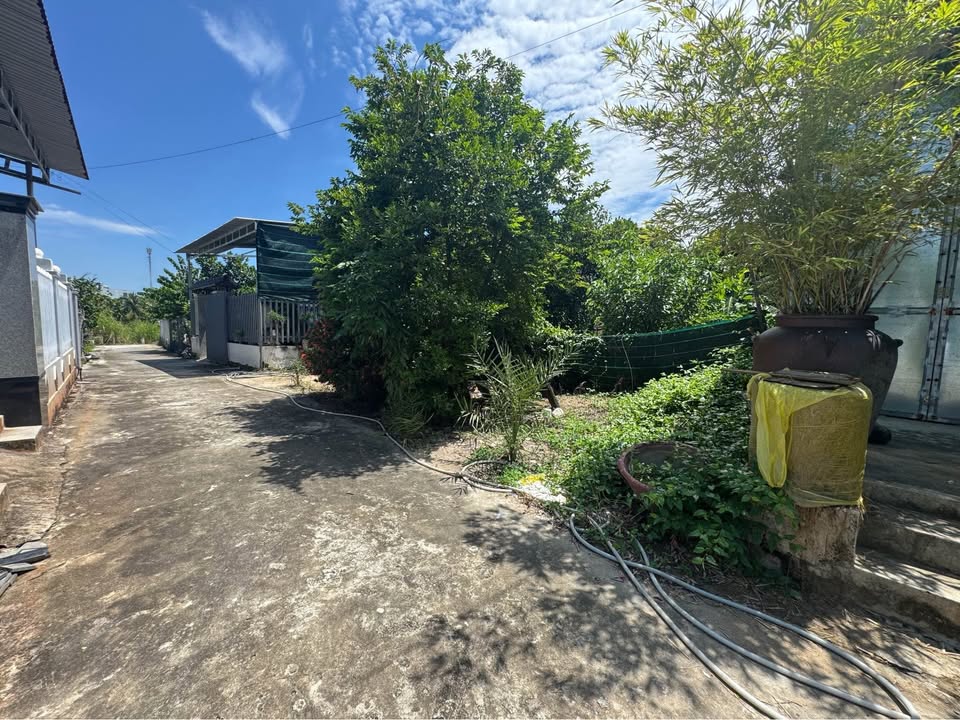 Đất nền Diên Toàn, Diên Khánh 227m² giá 1.9 tỷ - Đầu tư sinh lời ngay!