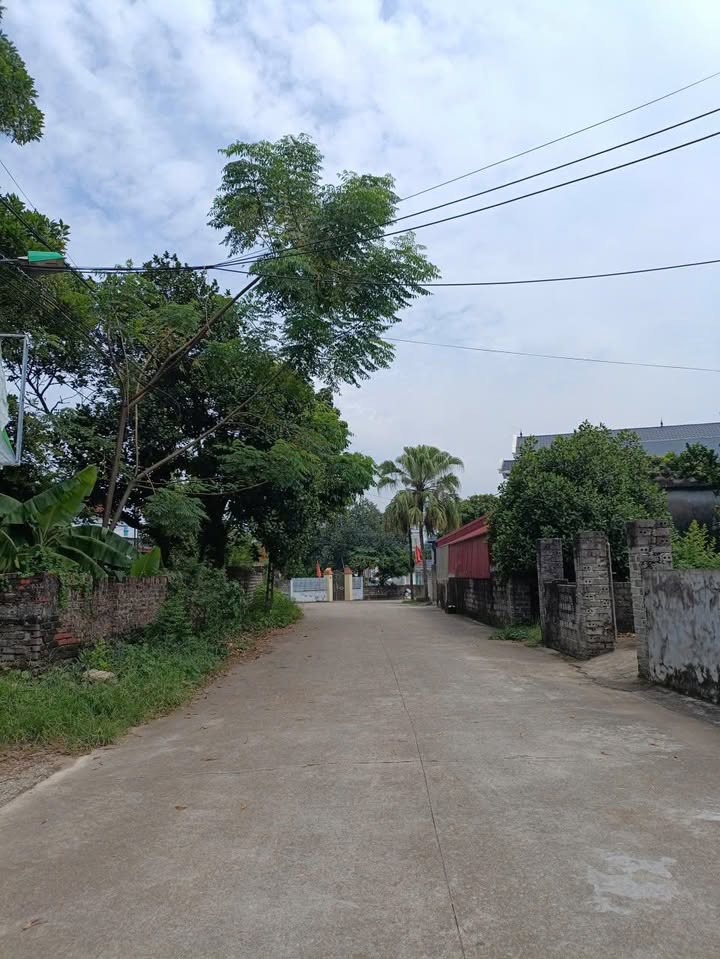 Đất nền phân lô tại phường Yên Bình, Tam Điệp - 150m² giá 1.4 tỷ - Cơ hội đầu tư sinh lời!