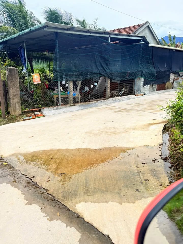 Đất nền chính chủ tại Phong Thạnh, Ninh Hòa 101m² - Giá thương lượng hấp dẫn!