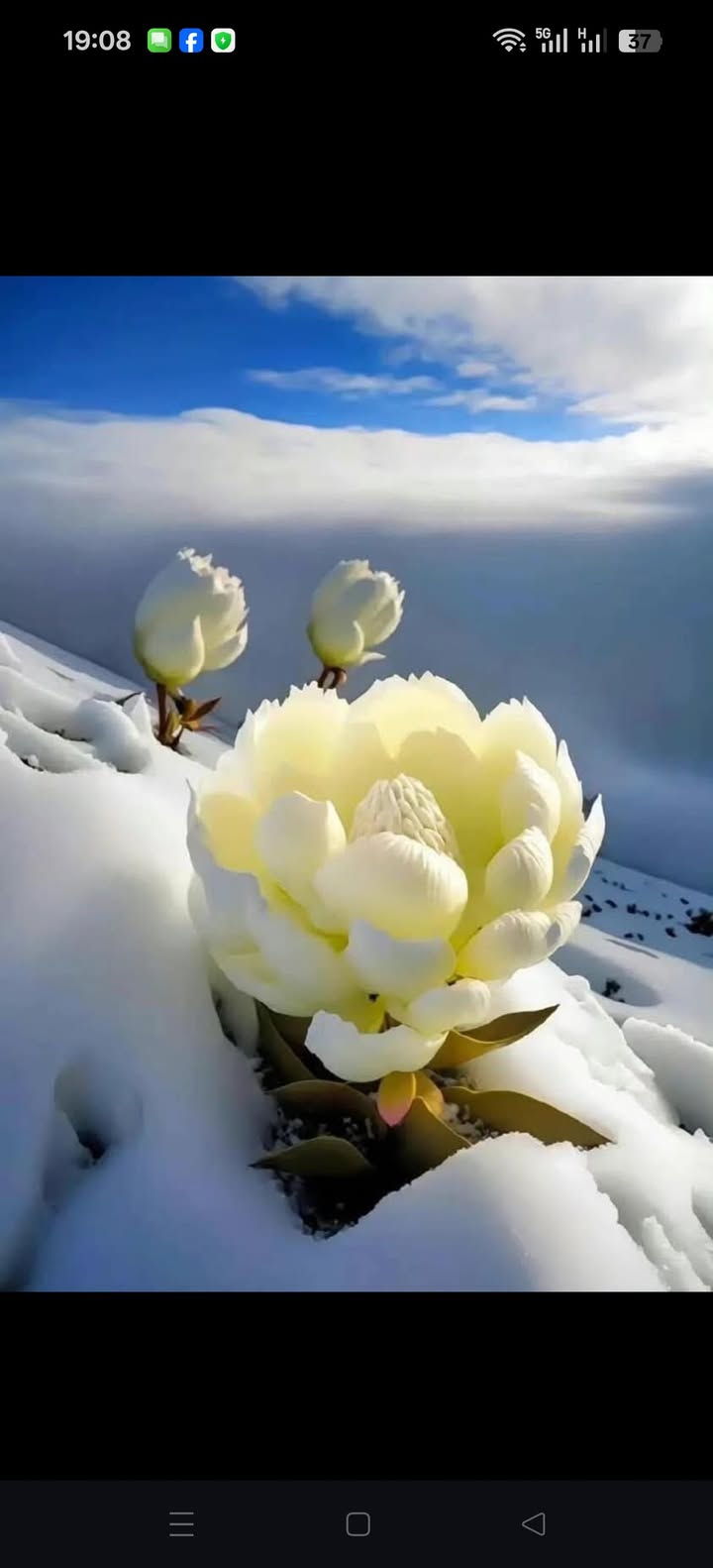 Đất thổ cư Tân Hiệp 540m² giá 2.8 tỷ - Đầu tư sinh lời ngay!