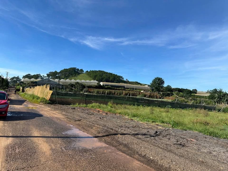 Đất nền Quảng Lập, Đơn Dương 200m² giá 499 triệu - View đồi núi tuyệt đẹp!